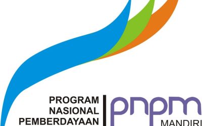 PIP dan PNPM Mandiri Telah Tangani Pembangunan 31.960 Desa